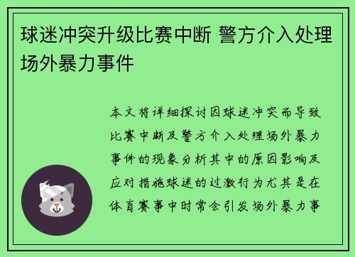 球迷冲突升级比赛中断 警方介入处理场外暴力事件