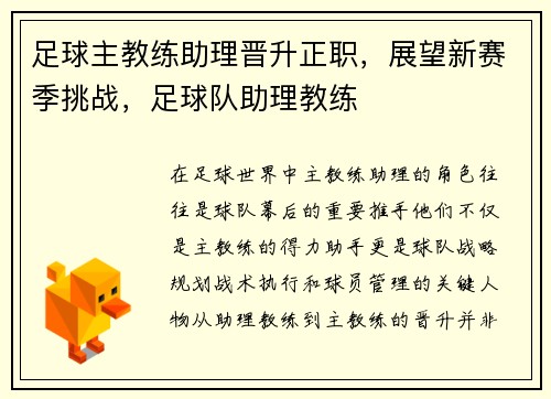 足球主教练助理晋升正职,展望新赛季挑战,足球队助理教练